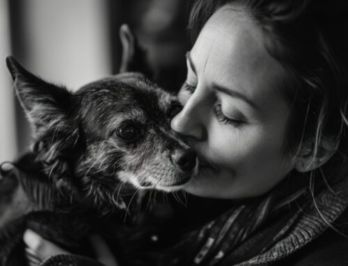 O valor do luto pet: um acolhimento para todos os membros da família