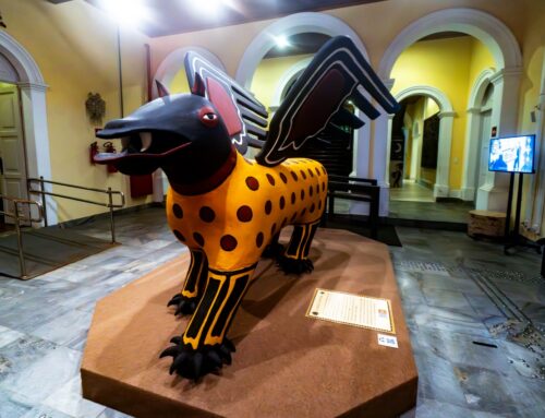 Exposição Armorial 50 já atraiu 6 mil visitantes no primeiro mês em cartaz na Pinacoteca Potiguar