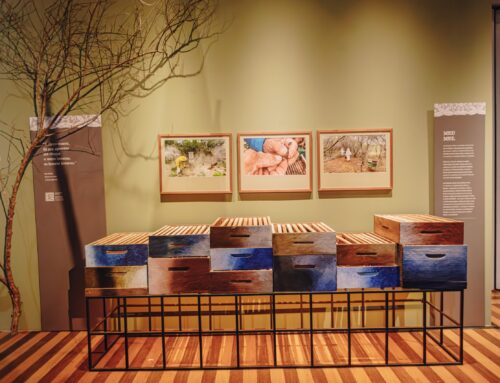 Exposição Faces do Reduto fica até junho na Pinacoteca