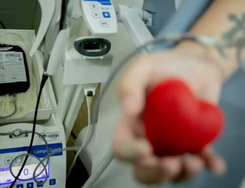 Junho Vermelho: doadores relatam experiências e especialistas desmentem mitos sobre a doação de sangue