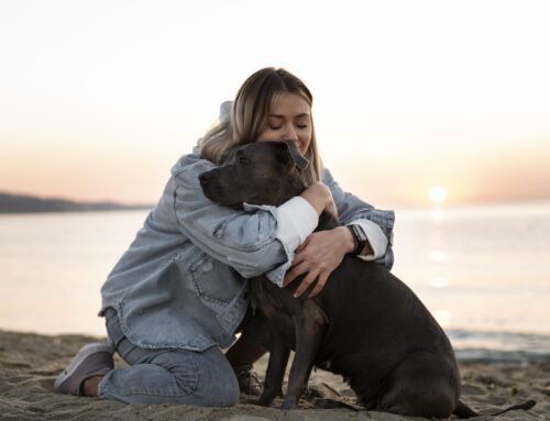 Luto pela perda de pets pode ser comparável ao de familiares
