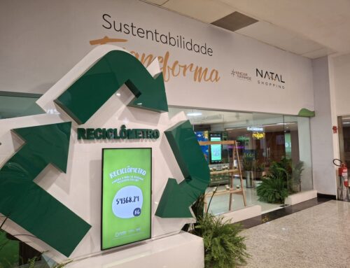 Responsabilidade ambiental ganha força entre consumidores