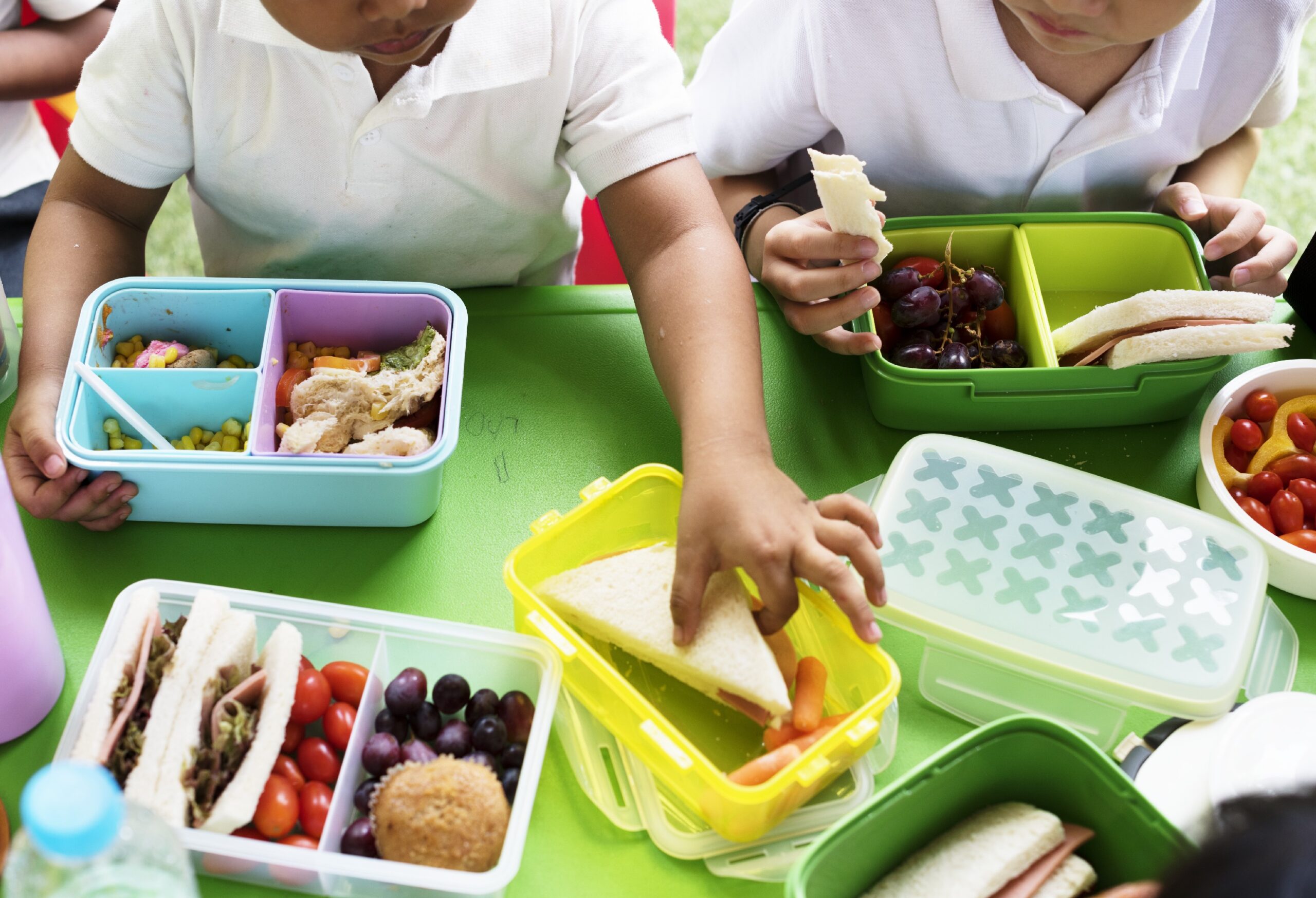 alimentação das crianças no recesso escolar crianças