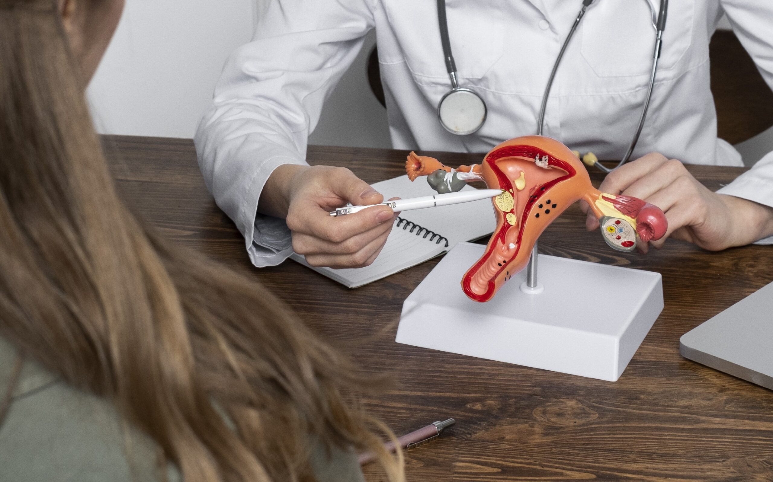 As internações por mioma uterino cresceram 32% no país (entre 2019 e 2023), sendo a região Nordeste responsável por concentrar 42,2% dessas casos. Apesar de ser um diagnóstico comum, ele ainda é cercado de dúvidas sobre sintomas e tratamentos.